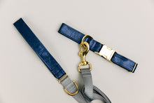 Load image into Gallery viewer, Sapphire Jewel Tone Matching Dog Leash