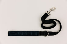Load image into Gallery viewer, Slate Jewel Tone Matching Dog Leash
