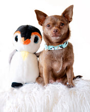 Load image into Gallery viewer, Ice Skating Penguins Dog Collar