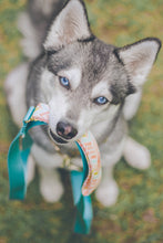 Load image into Gallery viewer, Add a Matching Leash