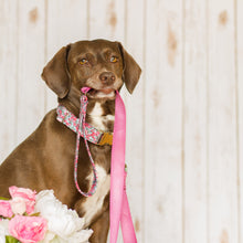 Load image into Gallery viewer, Add a Matching Leash