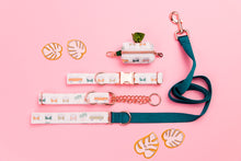 Load image into Gallery viewer, Hippie Camper Vans Water Resistant Dog Collar