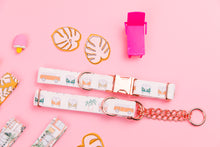Load image into Gallery viewer, Hippie Camper Vans Water Resistant Dog Collar