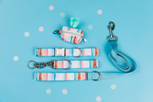 Load image into Gallery viewer, Copper Coastal Striped Water Resistant Dog Collar