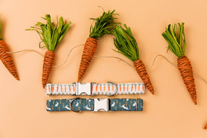 Easter Bunny & Carrots Dog Collar