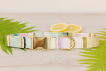 Load image into Gallery viewer, Watercolour Striped Dog Collar