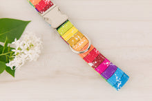 Load image into Gallery viewer, Pride Dog Collar