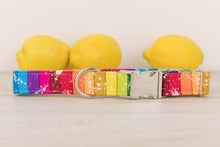 Load image into Gallery viewer, Pride Dog Collar