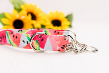 Load image into Gallery viewer, Watermelon Dog Collar