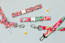 Load image into Gallery viewer, Watermelon Dog Collar