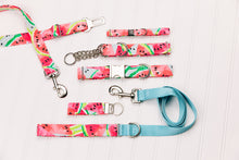 Load image into Gallery viewer, Watermelon Dog Collar