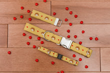 Load image into Gallery viewer, Hedgehog Dog Collar