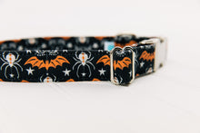Load image into Gallery viewer, It's Freakin' Bats Dog Collar