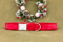 Load image into Gallery viewer, Red Velvet Festive Christmas Dog Collar