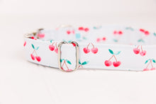 Load image into Gallery viewer, Summer Cherries on Pastel Blue Water Resistant Dog Collar