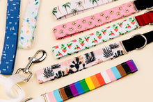 Load image into Gallery viewer, Love is Love Progress Pride Flag Matching Dog Leash