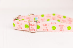 Tennis Ball Dog Collar