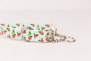 Summer Strawberry Picnic Dog Collar