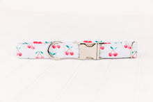Load image into Gallery viewer, Summer Cherries on Pastel Blue Water Resistant Dog Collar