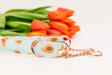Load image into Gallery viewer, Coral Papaya Water Resistant Dog Collar