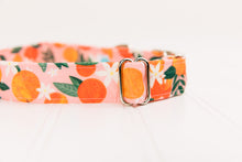 Load image into Gallery viewer, Happy Oranges Water Resistant Dog Collar