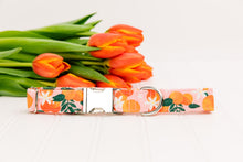 Load image into Gallery viewer, Happy Oranges Water Resistant Dog Collar