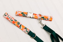 Load image into Gallery viewer, Happy Oranges Water Resistant Dog Collar