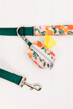 Load image into Gallery viewer, Happy Oranges Waste Bag Holder
