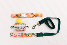 Load image into Gallery viewer, Happy Oranges Water Resistant Dog Collar