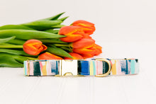 Load image into Gallery viewer, Abstract Stripes Water Resistant Dog Collar