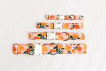 Load image into Gallery viewer, Happy Oranges Water Resistant Dog Collar