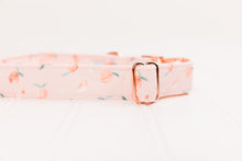 Load image into Gallery viewer, Tiny Pink Peaches Dog Collar
