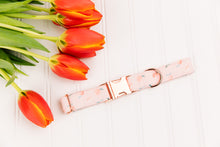 Load image into Gallery viewer, Tiny Pink Peaches Dog Collar