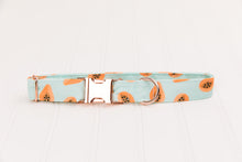 Load image into Gallery viewer, Coral Papaya Water Resistant Dog Collar