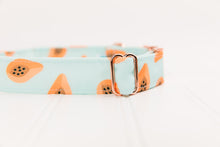 Load image into Gallery viewer, Coral Papaya Water Resistant Dog Collar