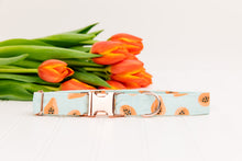 Load image into Gallery viewer, Coral Papaya Water Resistant Dog Collar