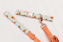 Load image into Gallery viewer, Coral Papaya Water Resistant Dog Collar
