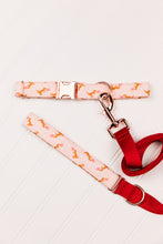 Load image into Gallery viewer, Dinosaur Valentine's Dog Collar