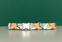 Load image into Gallery viewer, Orange Spiced Water Resistant Dog Collar
