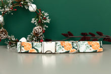 Load image into Gallery viewer, Orange Spiced Water Resistant Dog Collar