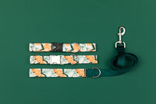 Load image into Gallery viewer, Orange Spiced Water Resistant Dog Collar