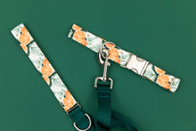 Load image into Gallery viewer, Orange Spiced Matching Dog Leash