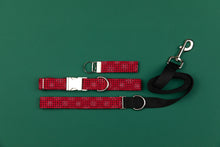 Load image into Gallery viewer, Buffalo Plaid Snowflake Matching Dog Leash