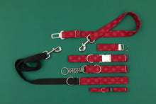 Load image into Gallery viewer, Buffalo Plaid Snowflake Matching Dog Leash