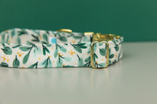 Load image into Gallery viewer, Gold Winter Berry Sprigs Water Resistant Dog Collar