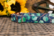 Load image into Gallery viewer, Eucalyptus Dog Collar