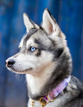 Load image into Gallery viewer, Purple Marble Hexagon Dog Collar