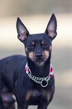 Load image into Gallery viewer, Red Picnic Plaid Dog Collar