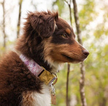 Load image into Gallery viewer, Purple Marble Hexagon Dog Collar