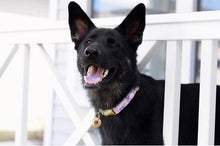 Load image into Gallery viewer, Purple Marble Hexagon Dog Collar